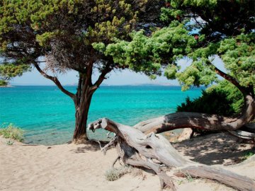 Vakantiepark Isuledda - Camping Sardinie (1)